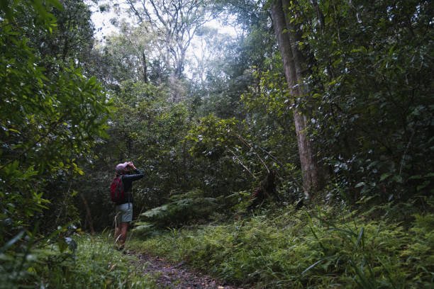 Tonghou Trail: Taiwan’s Hidden Historical Hike