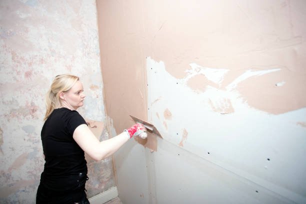 Gessolini Plaster vs. Traditional: The Clear Benefits