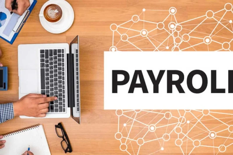 The Ultimate Guide to Payroll Software for Small Companies